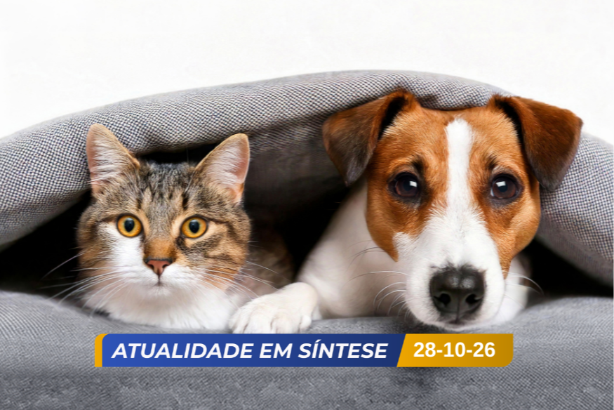 Famílias gastam cerca de 2 mil euros por ano com animais de estimação